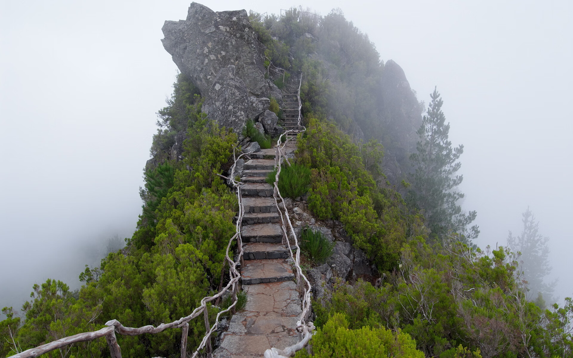 马竞主帅战术妙用，战胜劲旅取得关键胜利，马竞进攻