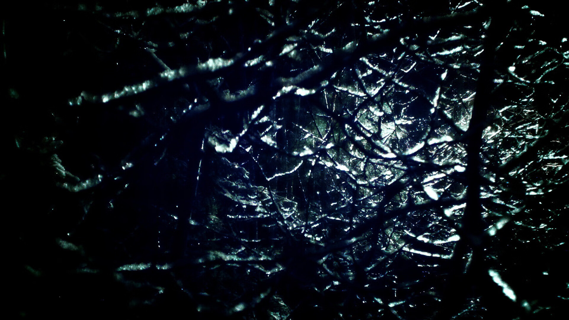 阿莱克西冲线瞬间引爆全场欢呼，阿莱克西亚高清图片