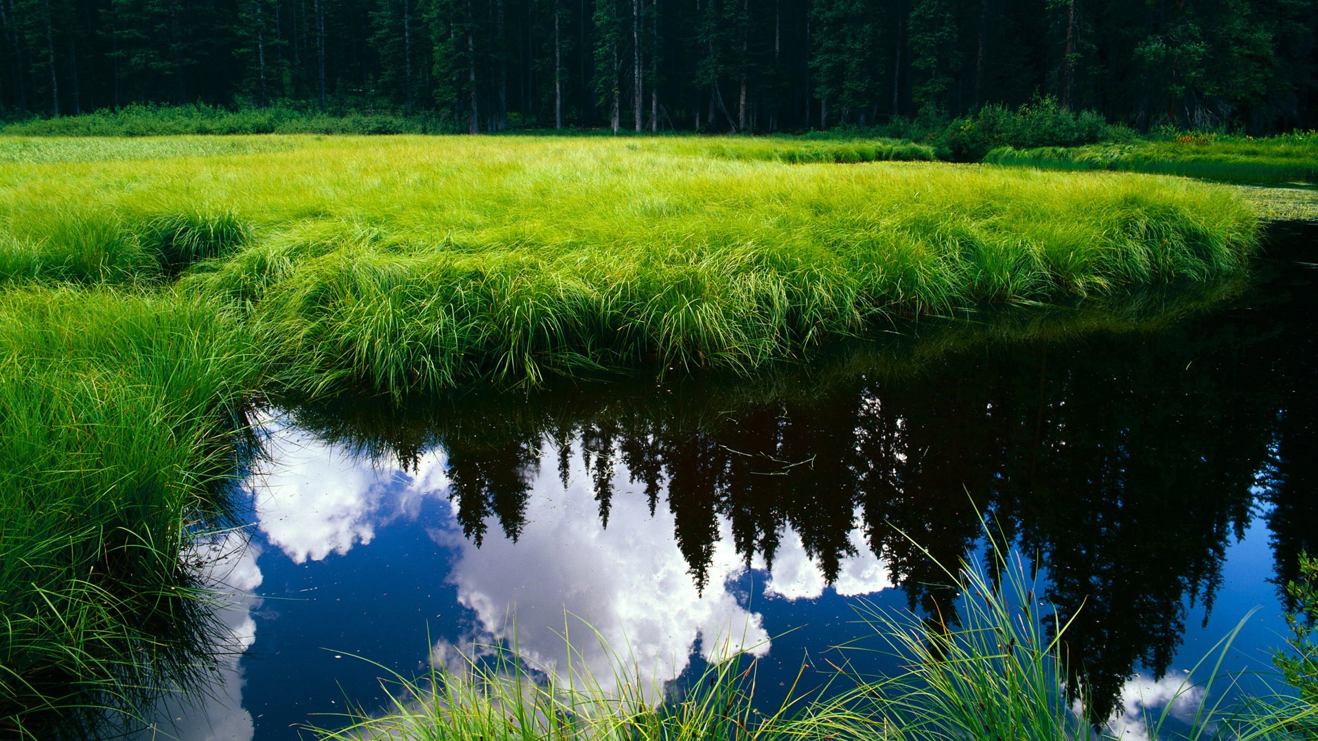 开云体育平台-黄蜂更换轮换阵容尝试新打法，黄蜂主力阵容