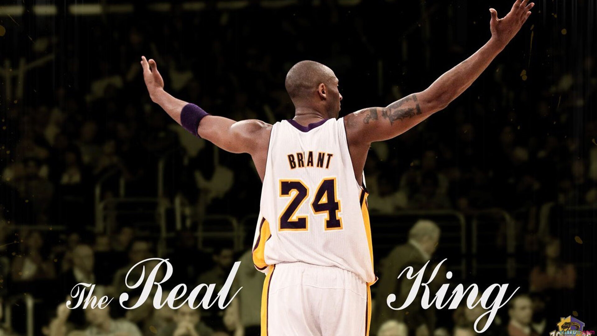 开云网址-《王者荣耀线上季后赛，黑马强势崛起》，王者荣耀线上赛是什么意思